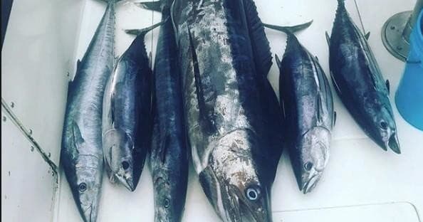 Shared Fishing Charter