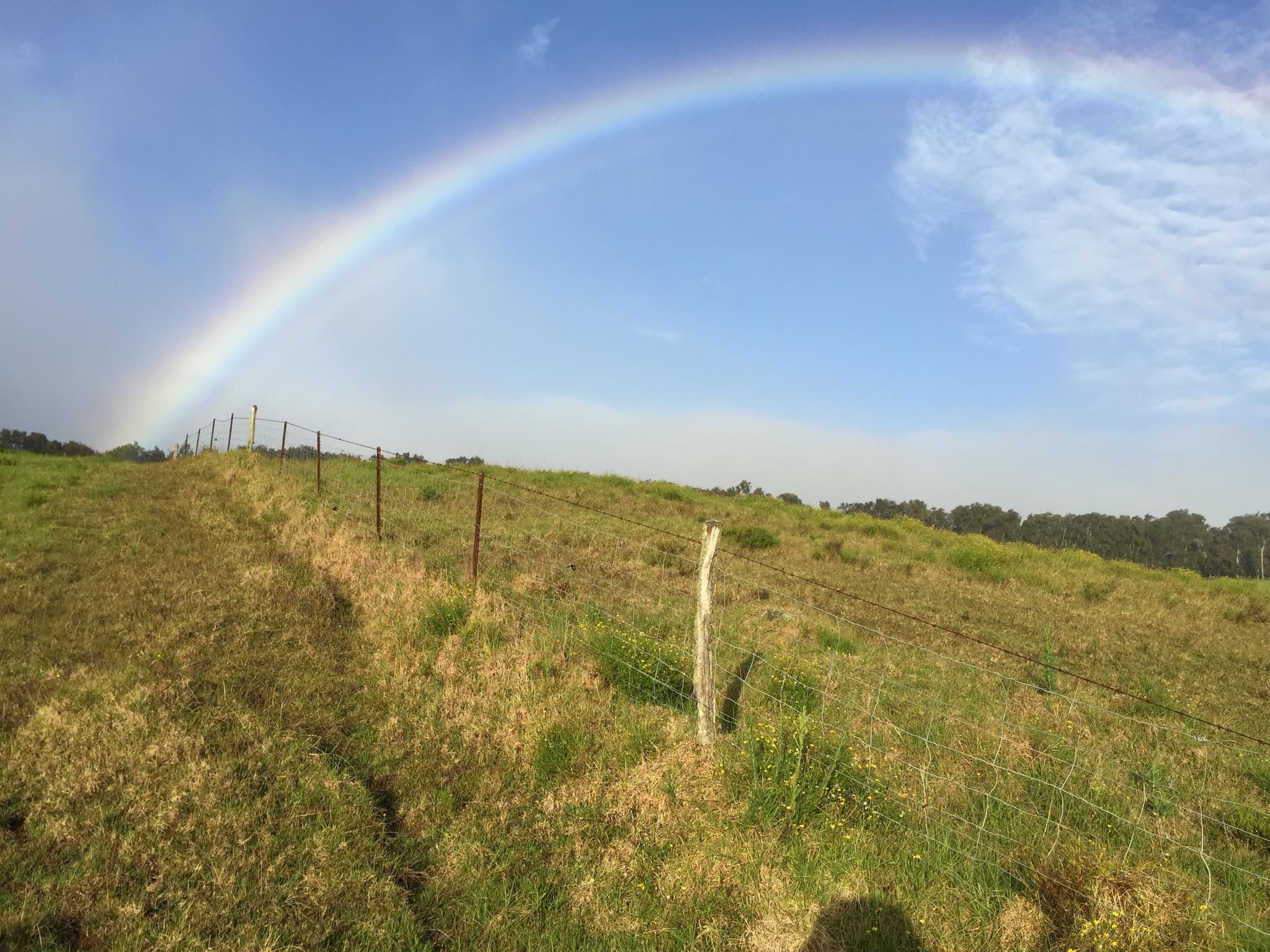 ⭐️PRIVATE Afternoon Paniolo Ride