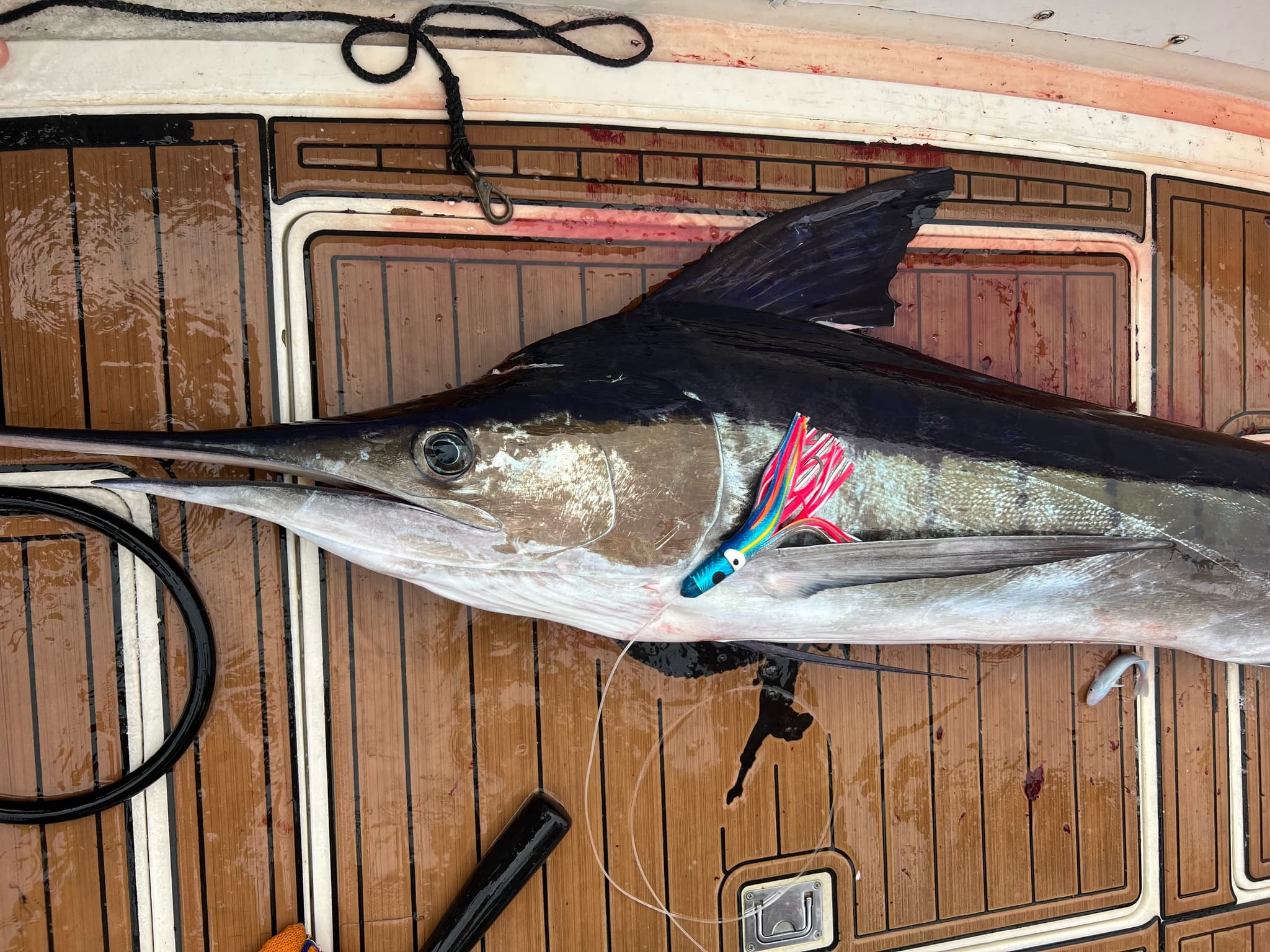 Ms Conduct Sportfishing Charter Options