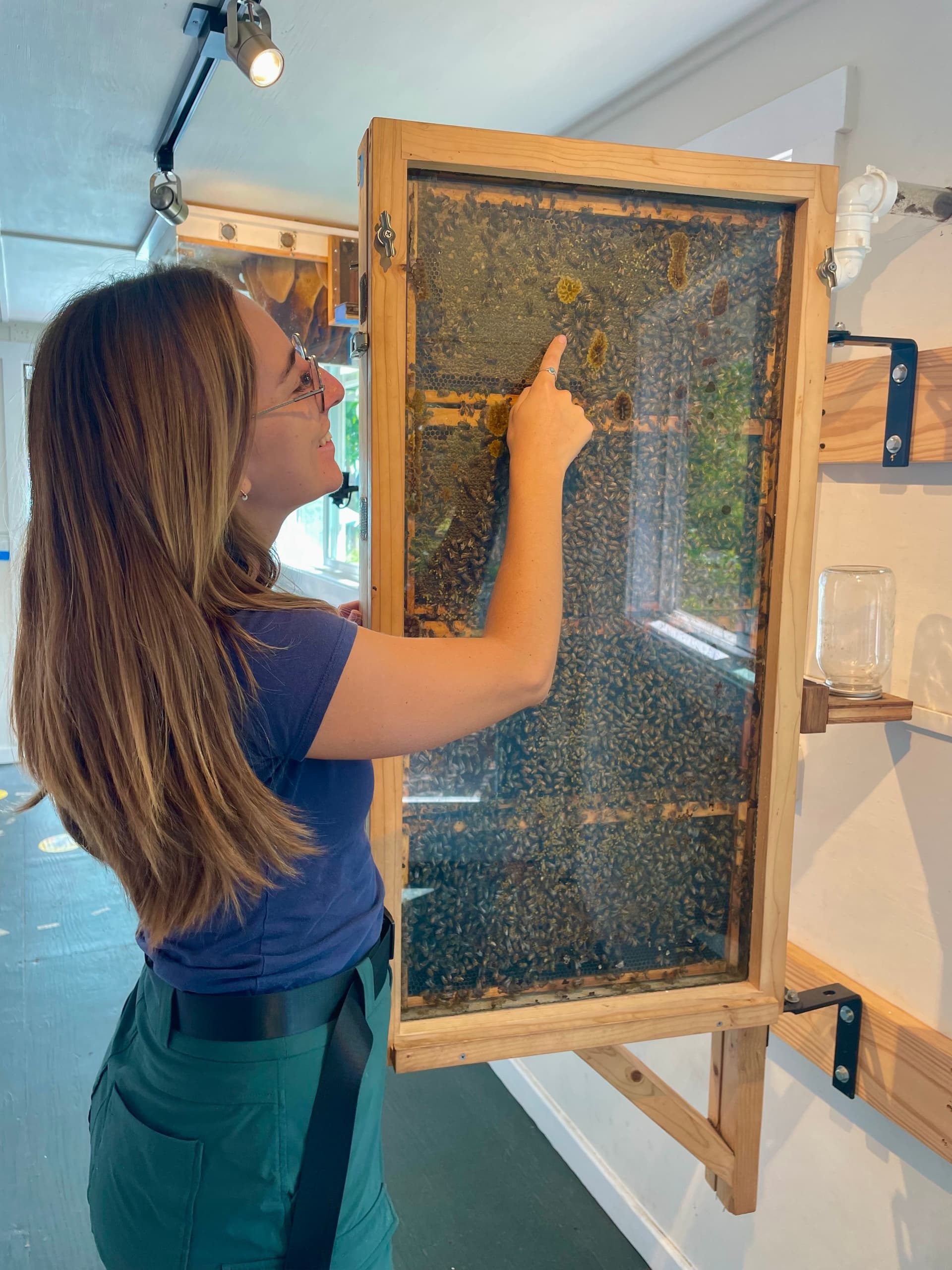 Hands on Honey Bee Workshop