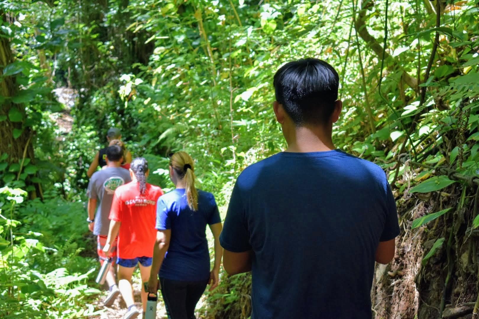 Waterfall Swim and Hike