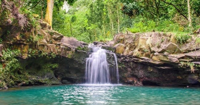 Waterfall & Rainforest Hiking Adventure • For West Maui Hotel Transfers