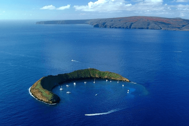 2 Hour Molokini Snorkel