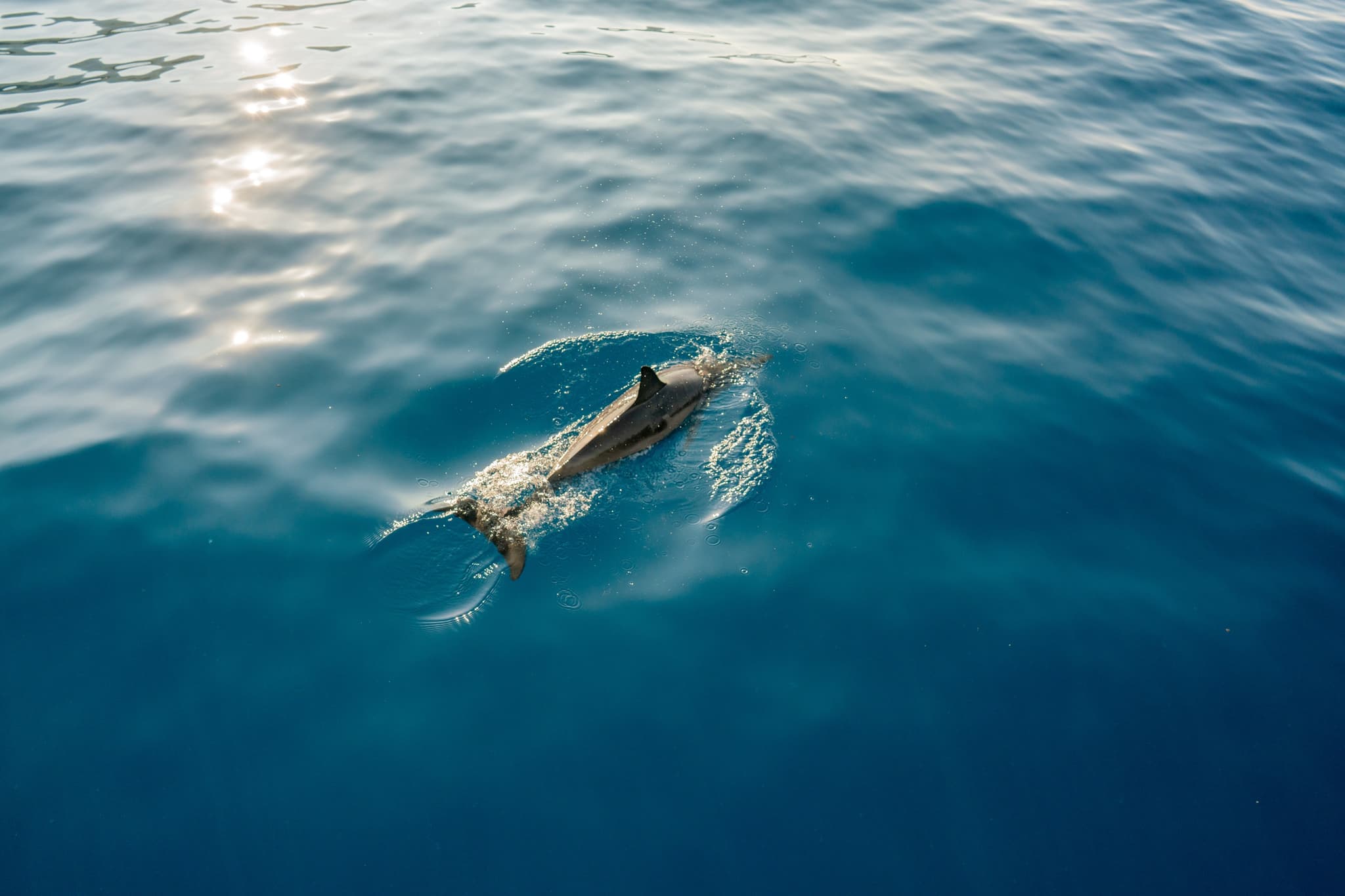 Super-Raft Offshore Adventure