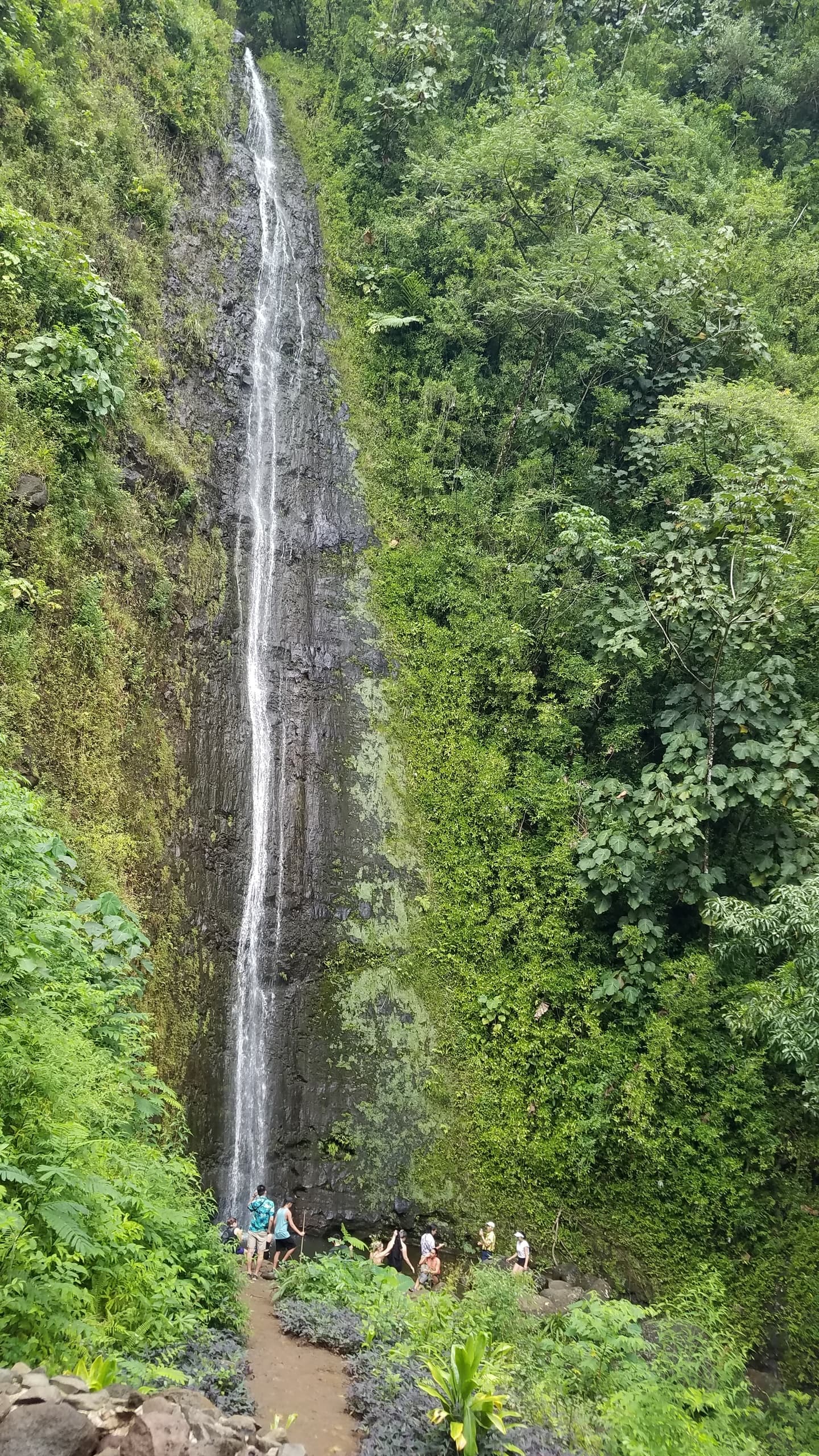 Hawaiian Waterfall Hike and Downhill Bike