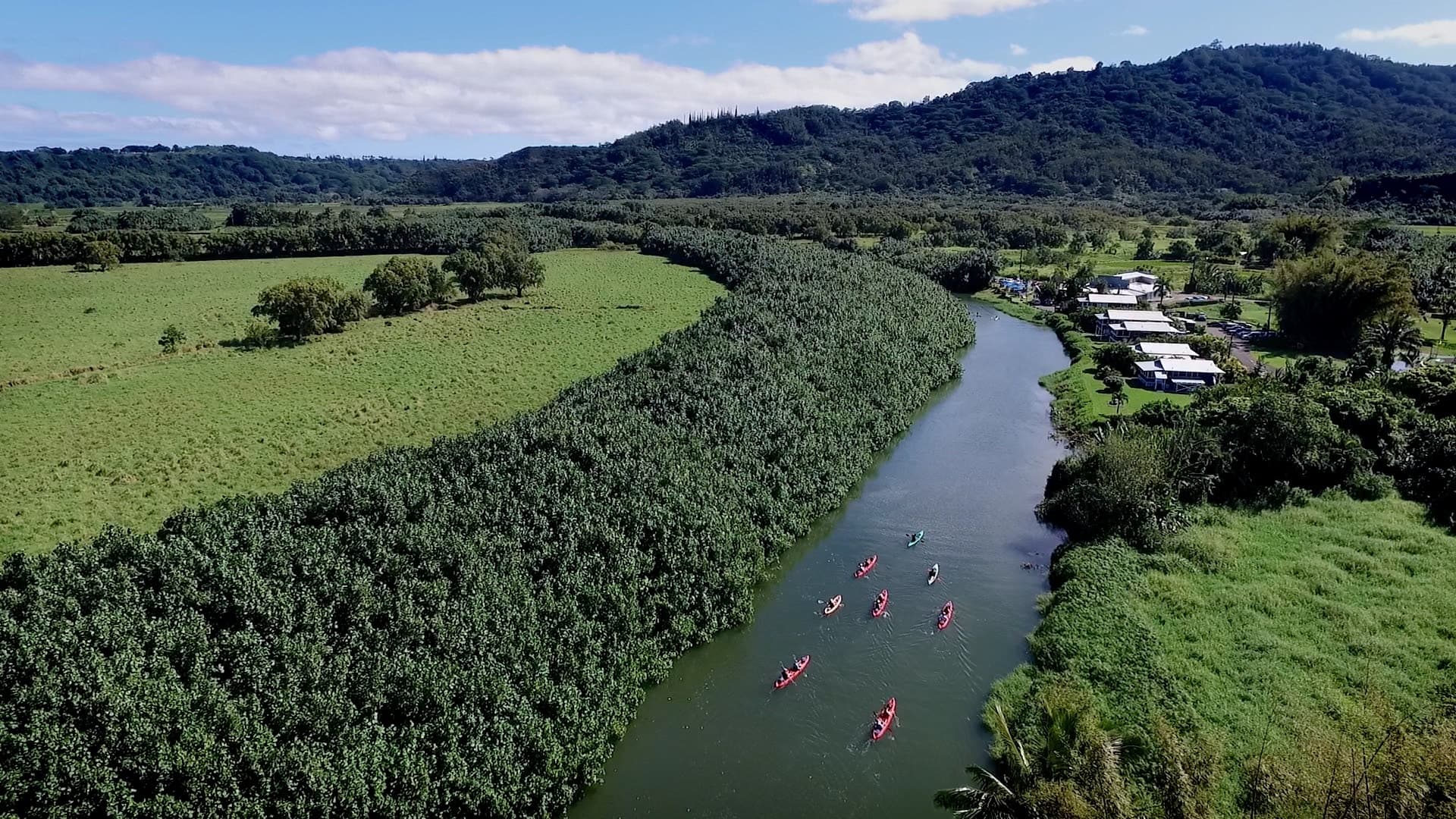 Morning Bay Explorer