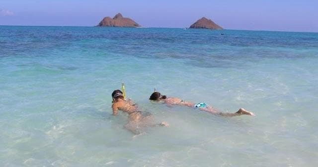 ビーチツアープラス１オプション(BT+1)