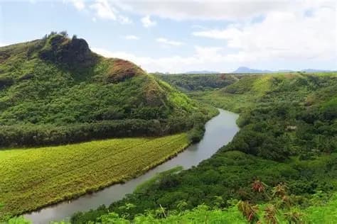 Opaeka'a Falls & Forest Reserve