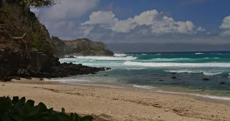 Private & Custom services