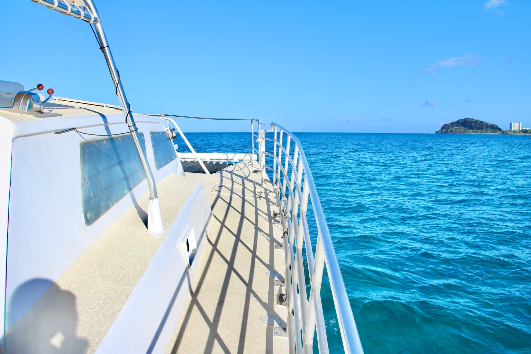 Private Cruise - Dolphin & Snorkel