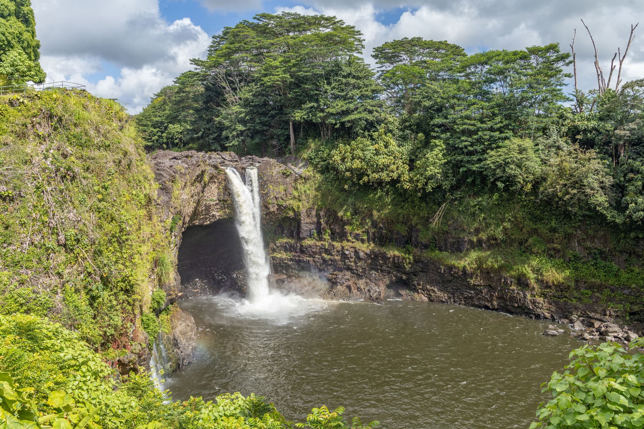 Hilo Cruise Ship Guest Special - Water and Fire