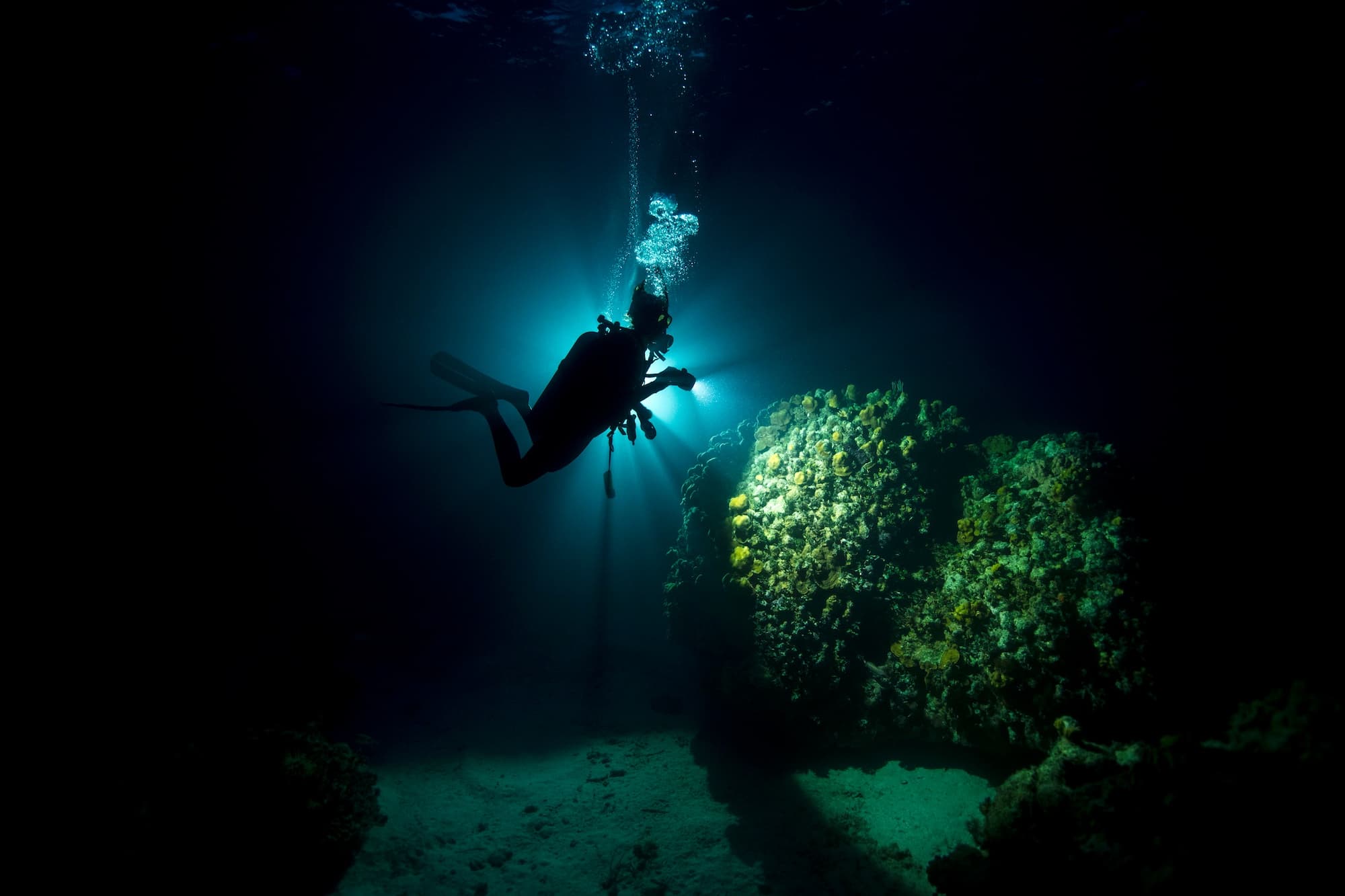 Night Dive from Shore