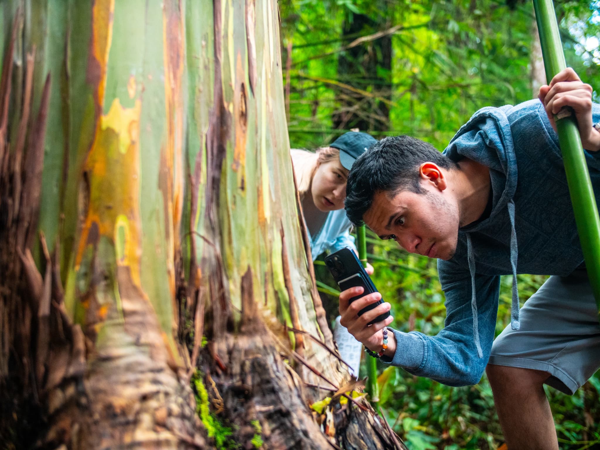 Sanctuary Snapshots: A Guided Photo Journey (Thursdays)