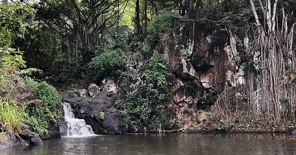 Jungle Waterfalls Adventure