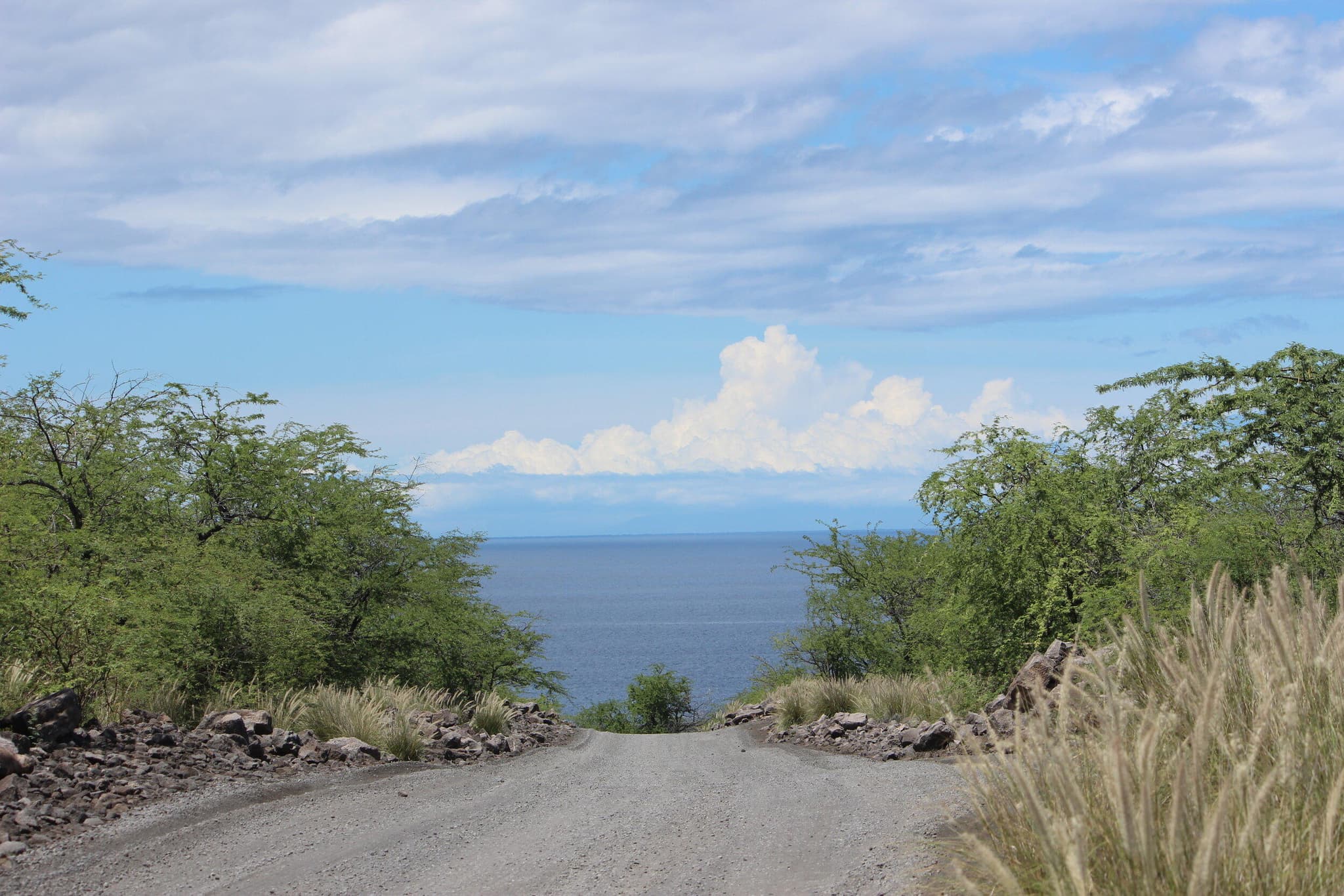 Dive And Drive, Private Big Island Adventure!