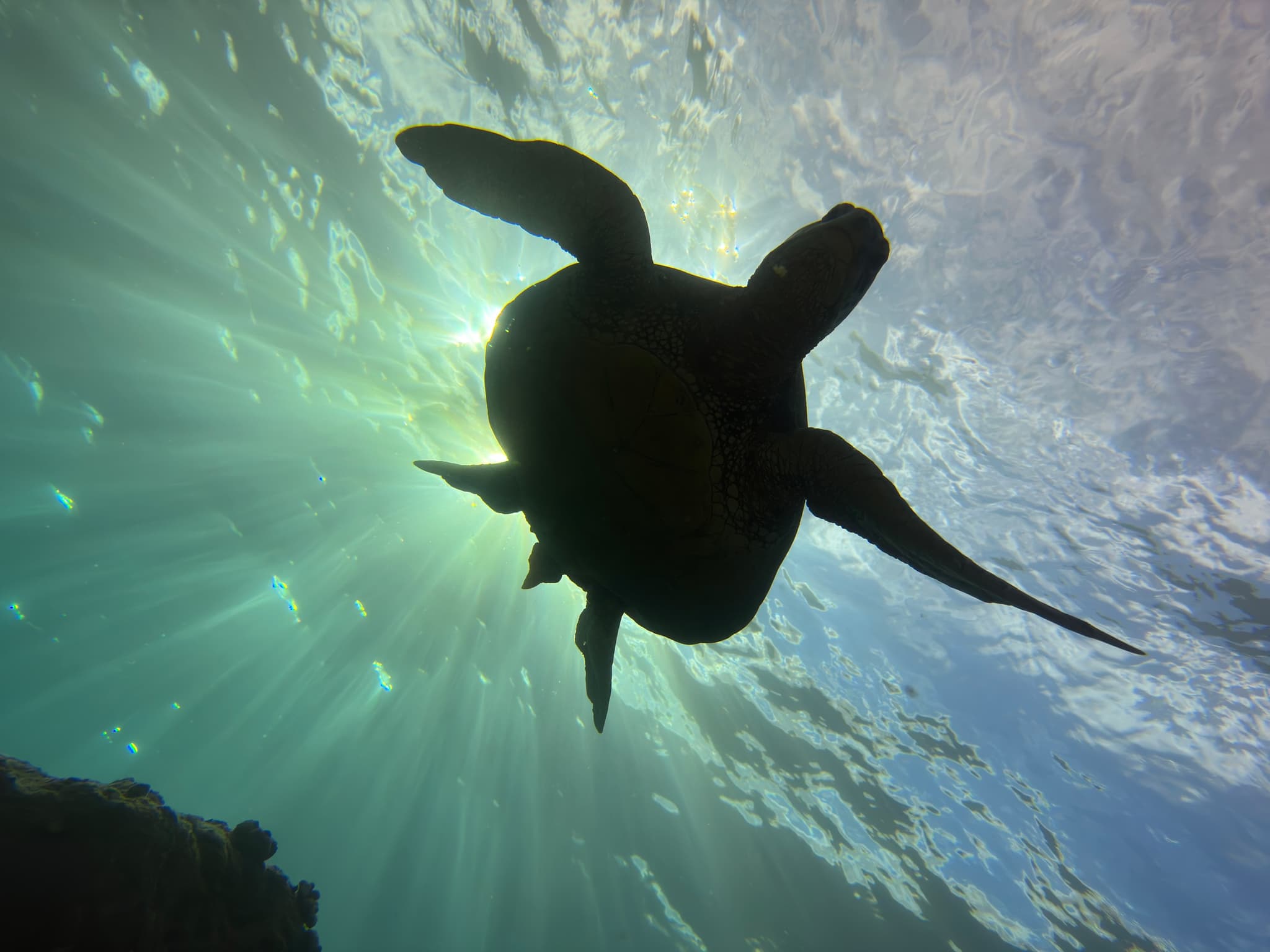 Morning 2 Tank Boat Dive for Experienced Divers