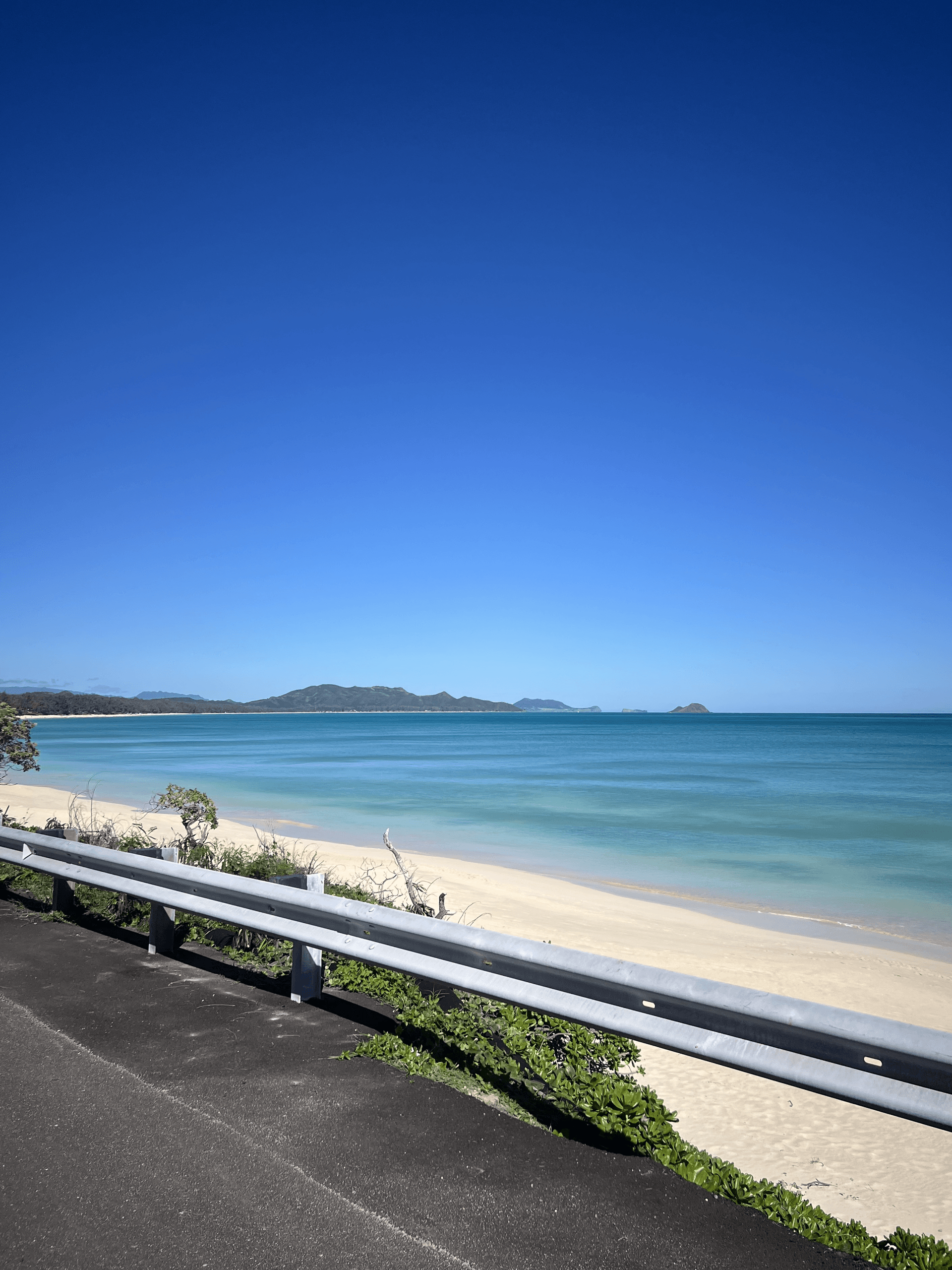 Shoreline Expedition