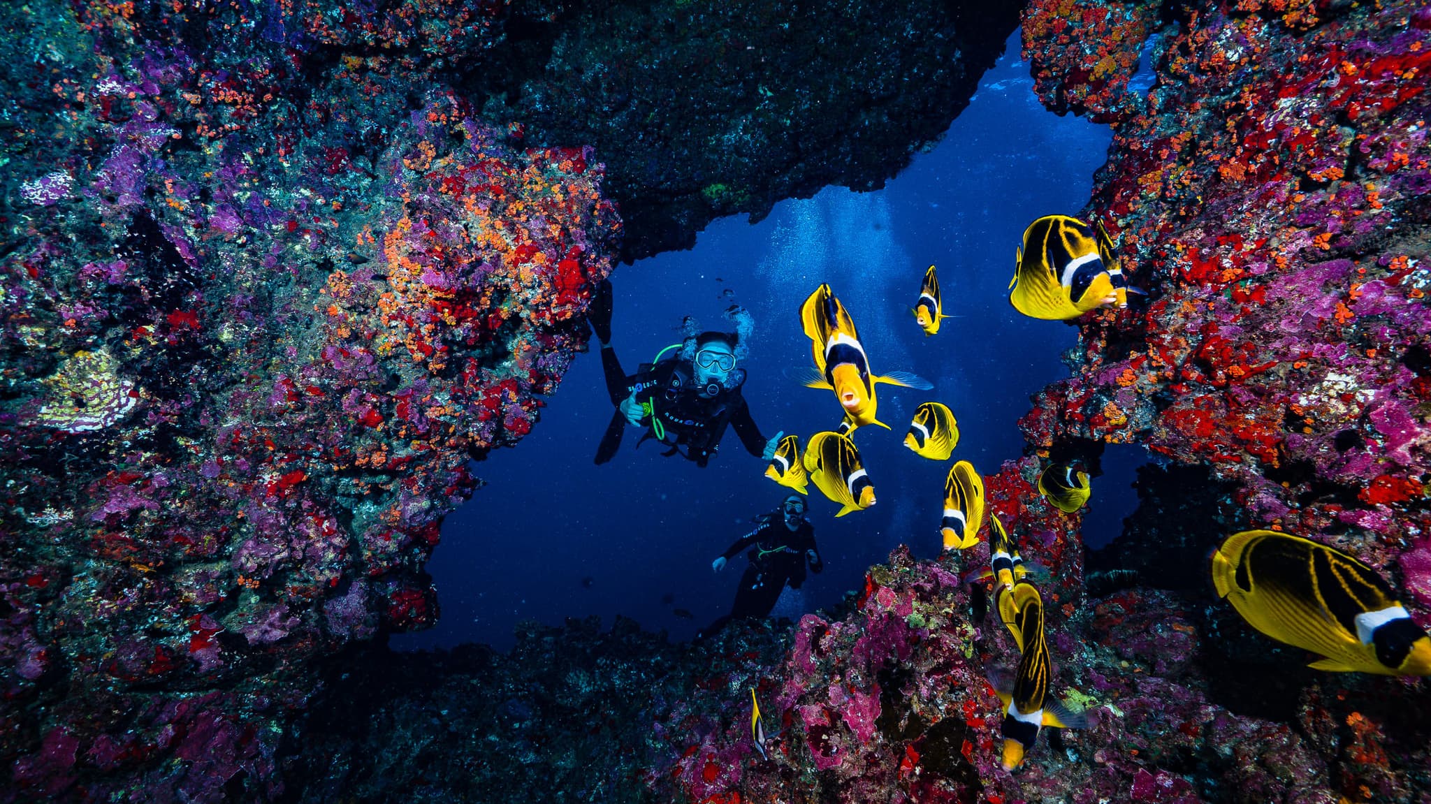 2 Tank Lanai Cathedral Dive by Boat