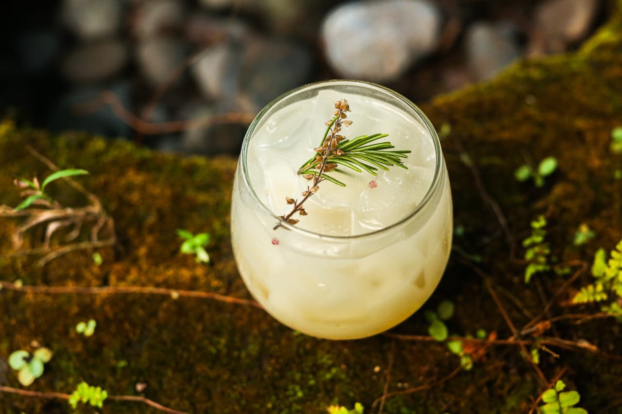 Common Ground Lounge Nights