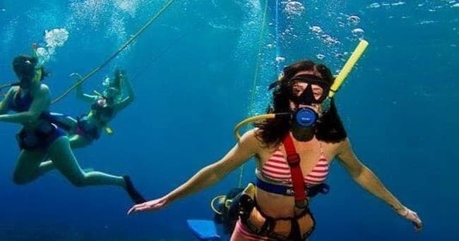 Maui West Side Morning Dive-Ka’anapali, Lahaina & Kapalua