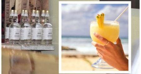 Haleakala Crater, Lavender Farm, Iao Valley, Hawaiian Distillery Tour - From Oahu (with Air Ticket)