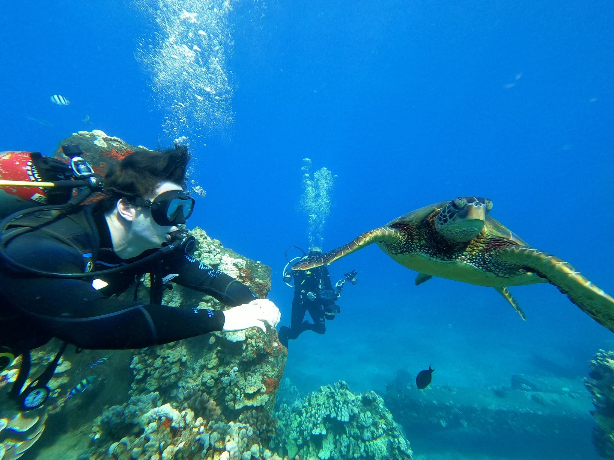 Adventures for Certified Divers