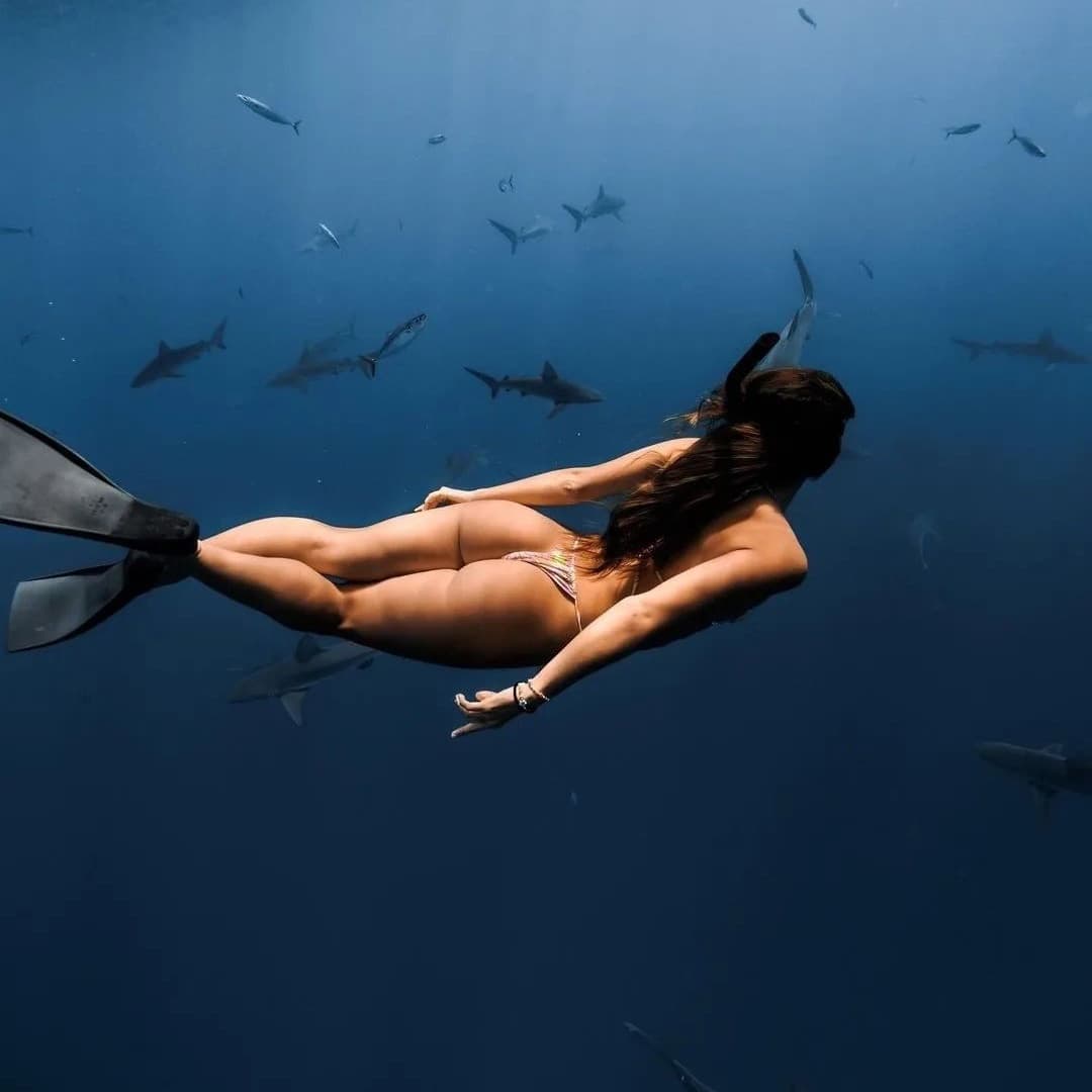 Open Water Shark Dive