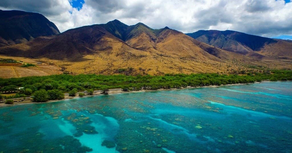 Full Day Surf & Eco-Cultural Adventure