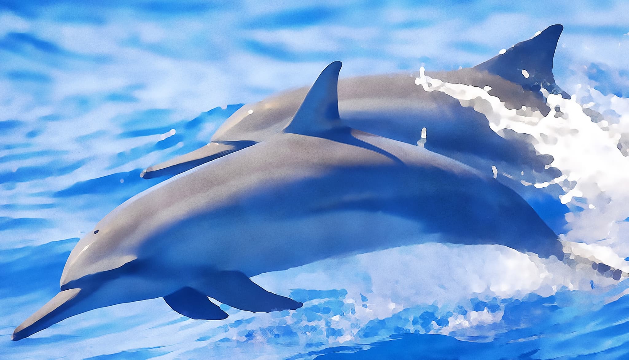 Small Group Snorkel & Dolphin Charter | Departs from Keauhou Bay