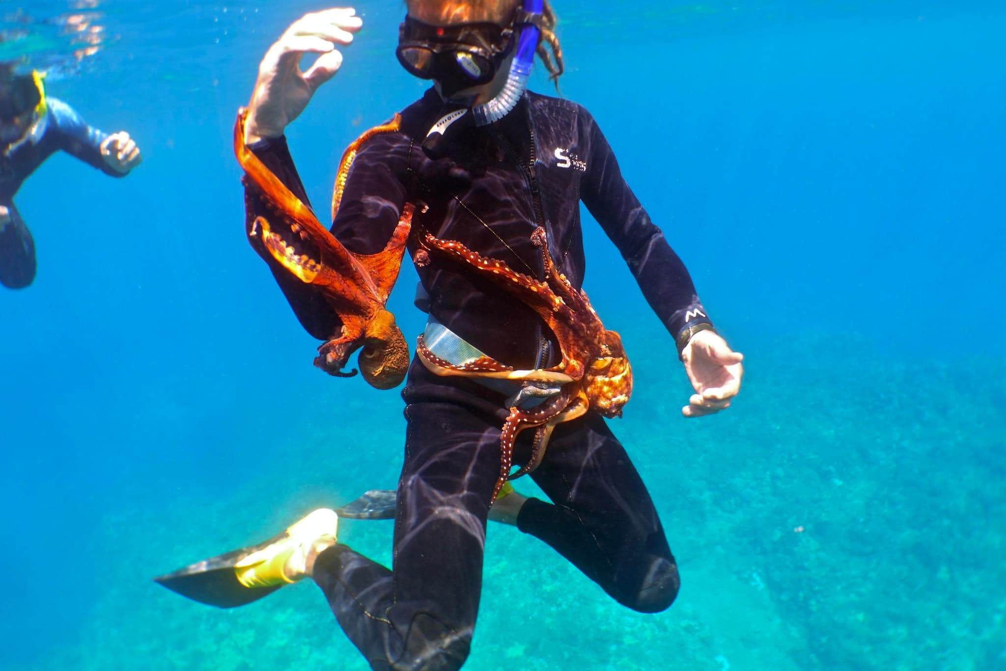 Marine Preserve Snorkel Adventure