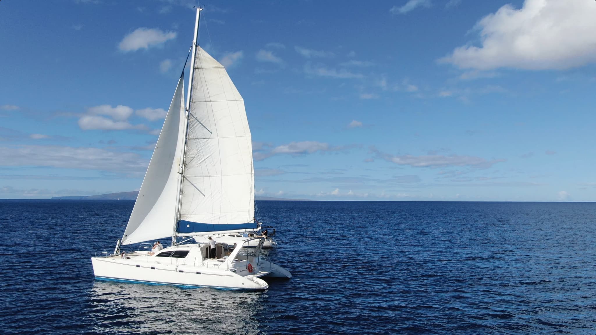 Private Whale Watch Cruise • Catamaran Artemis