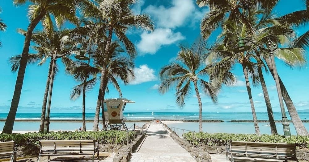 Private Oahu Half Circle Island Tour from Ko Olina