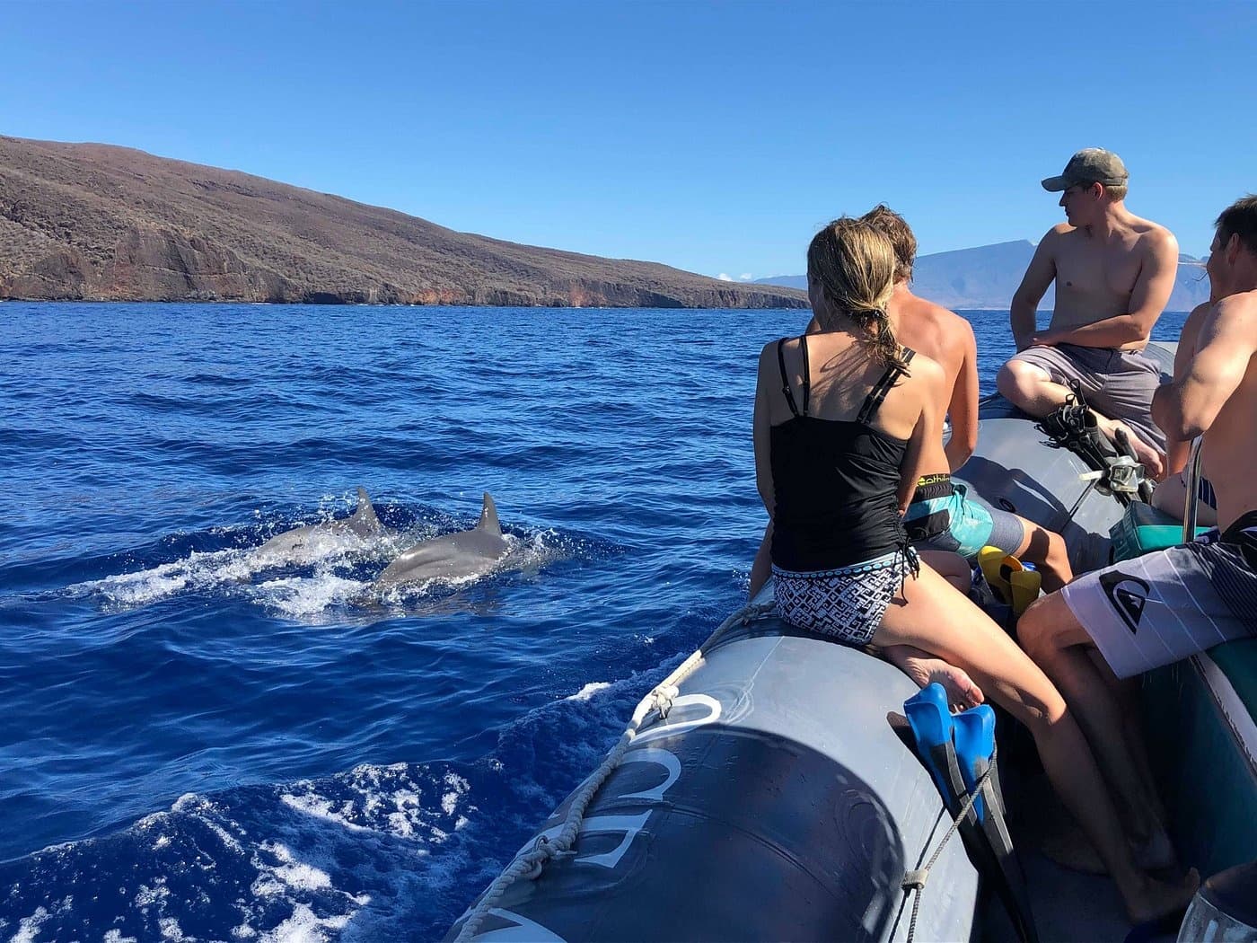 2 Hour Eye-Level Dolphin Watch Sightsee Eco-Raft Tour