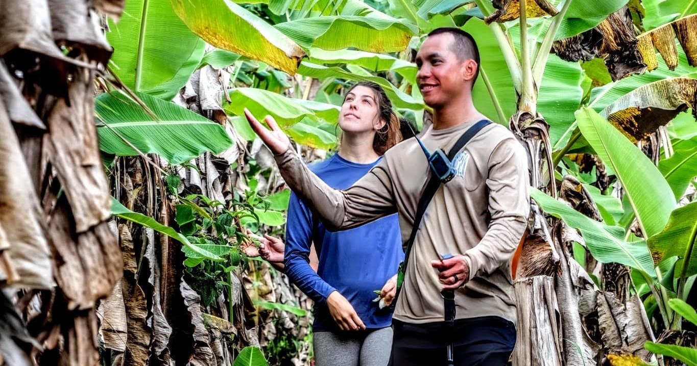 Waterfall Hiking Tour