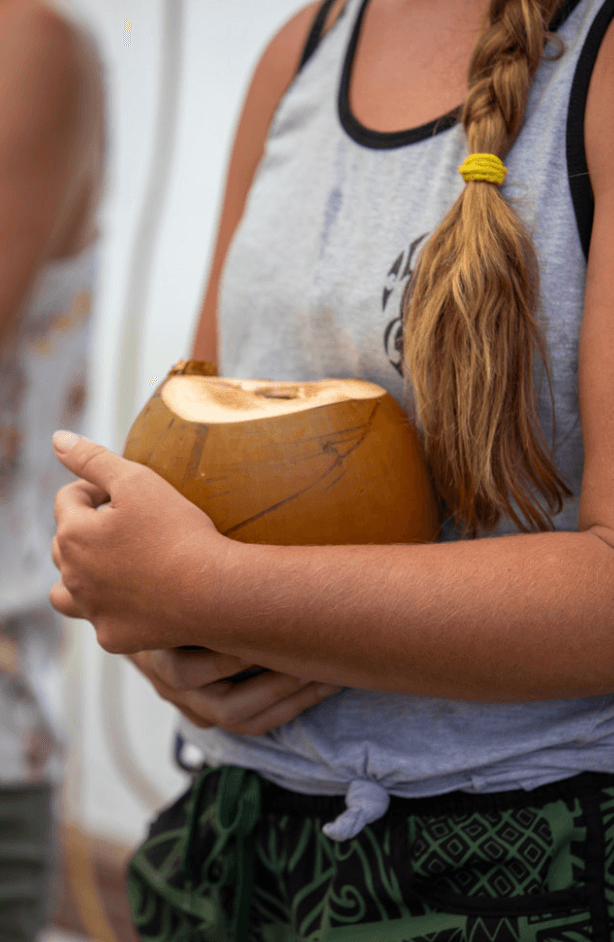 Macadamia Nut & Hydroponic Tour