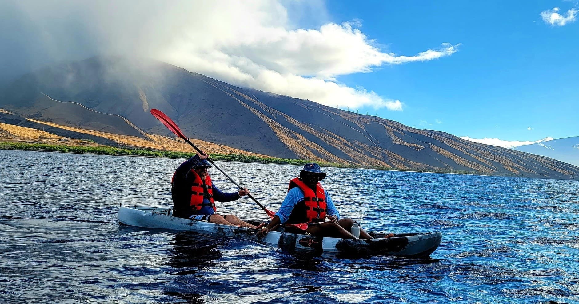 Whale Watch by Kayak