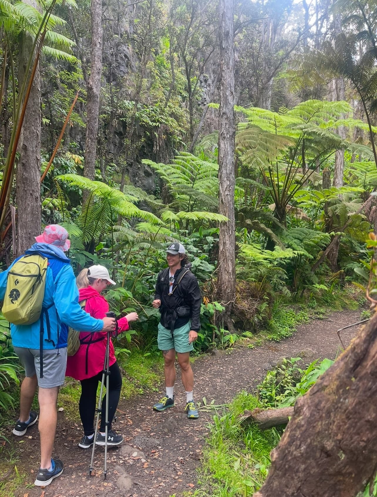 Volcanoes National Park Guided Hike - Small Group Hike