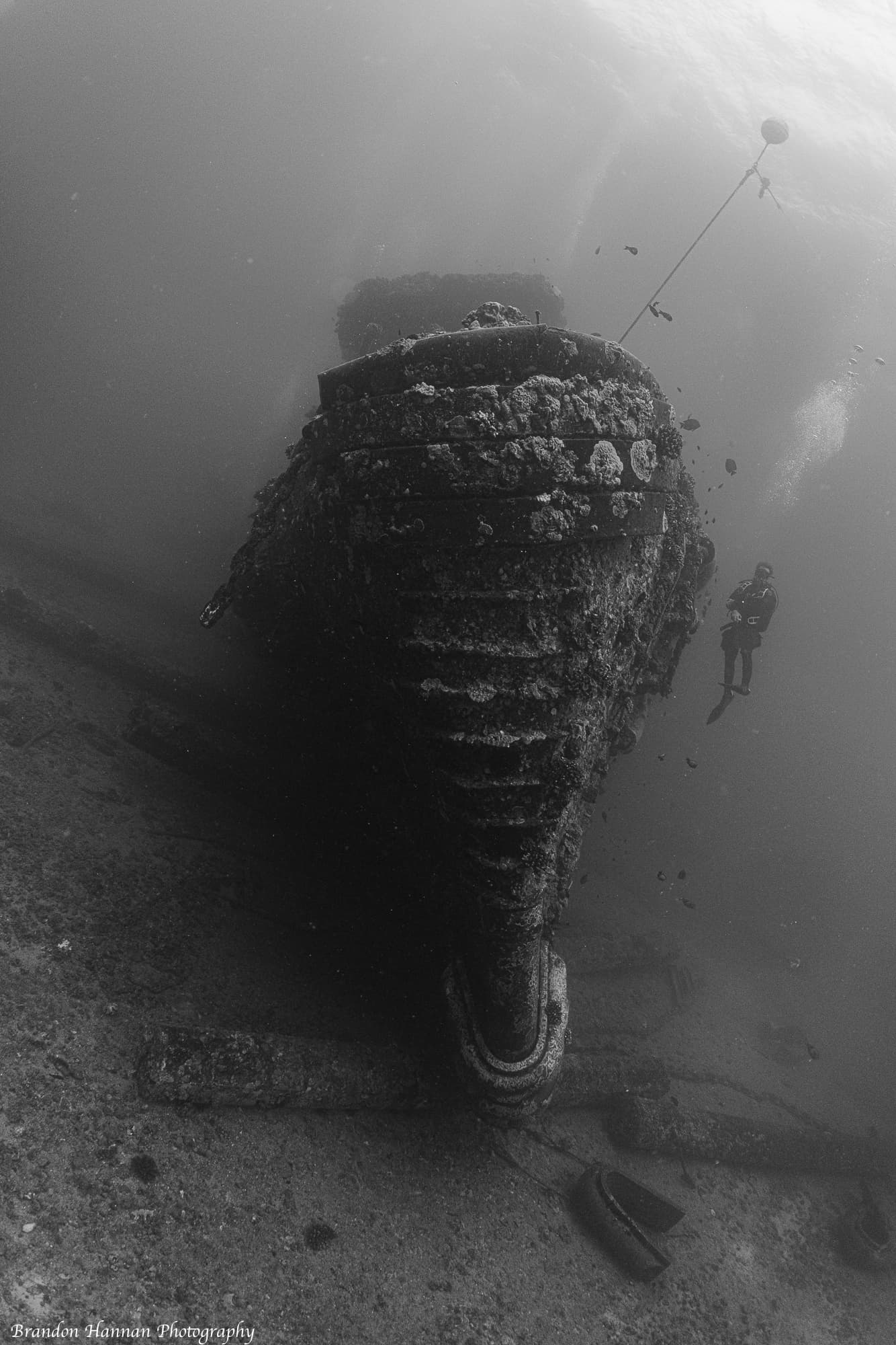 Magnificent 2 Tank Shipwreck and/or Reef Boat Dive - Certified Only