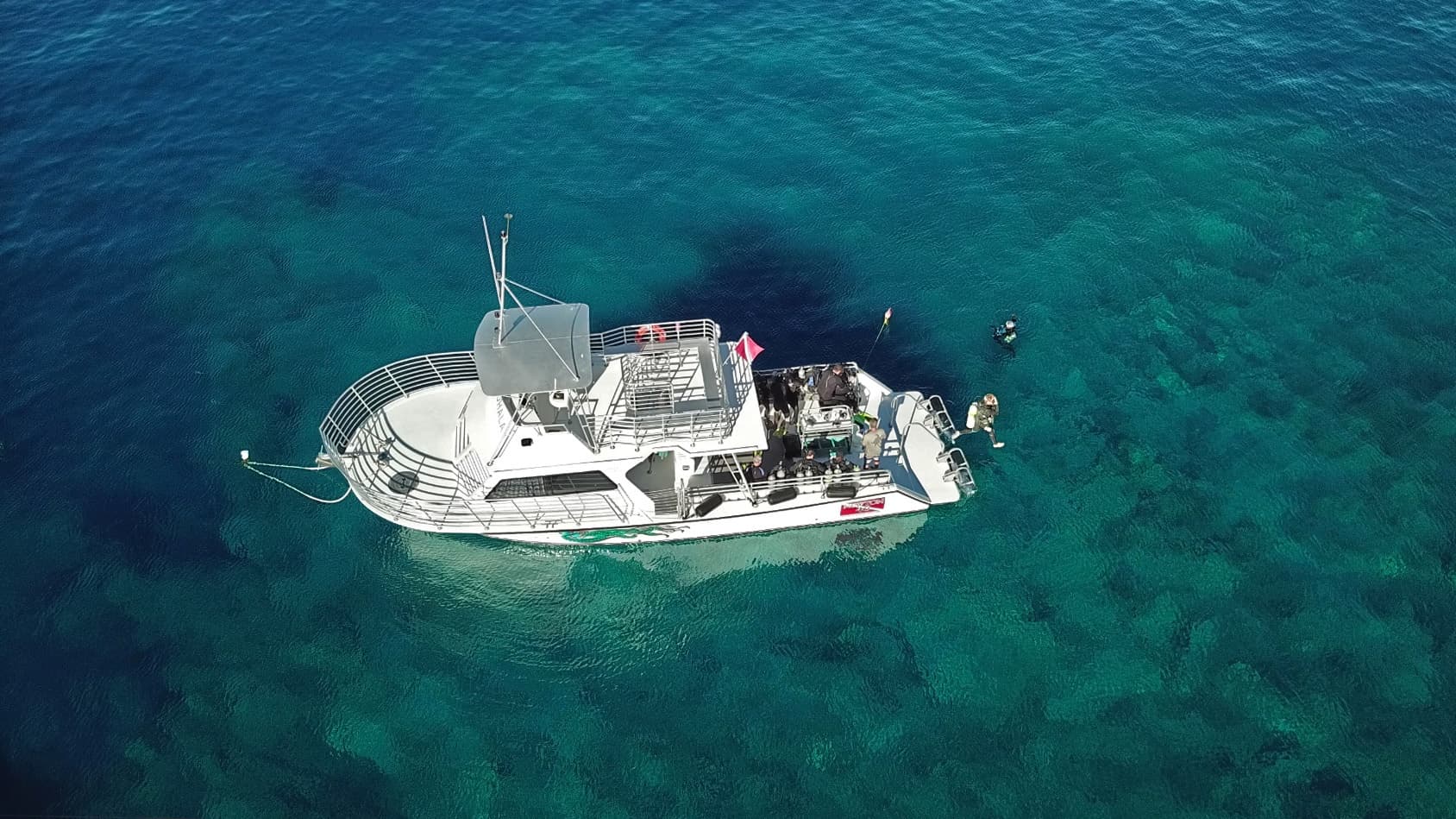 One-Site Afternoon Dive or Snorkel Trip