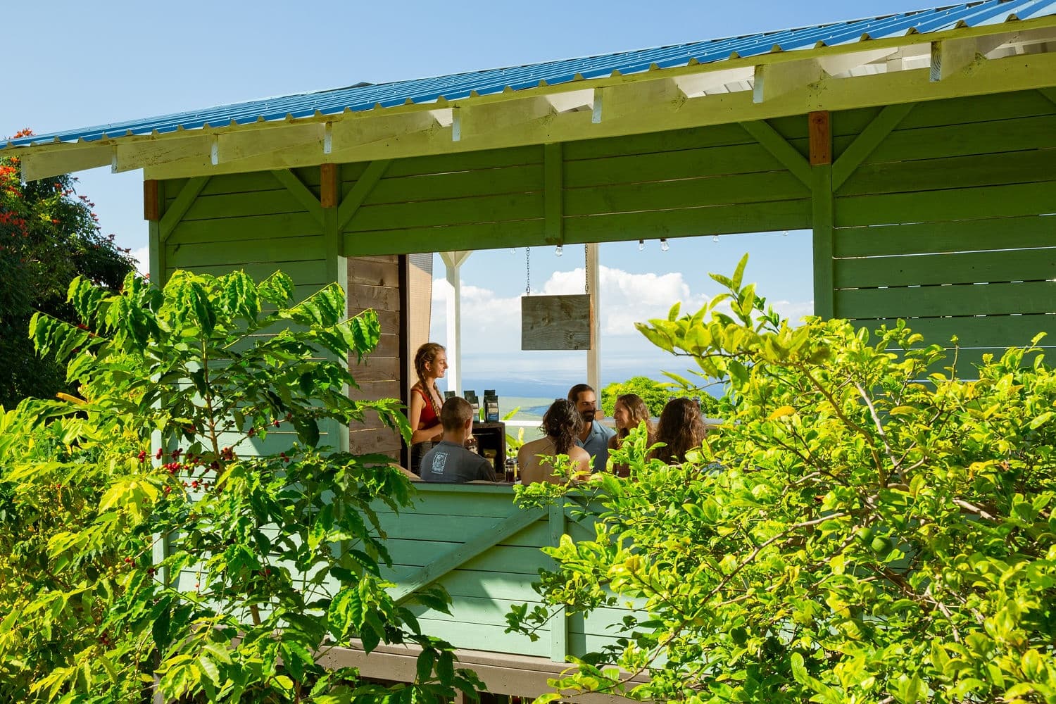 Kona Coffee Farm Tour