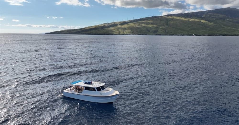 Private Morning Snorkel ~ Marjorie Ann