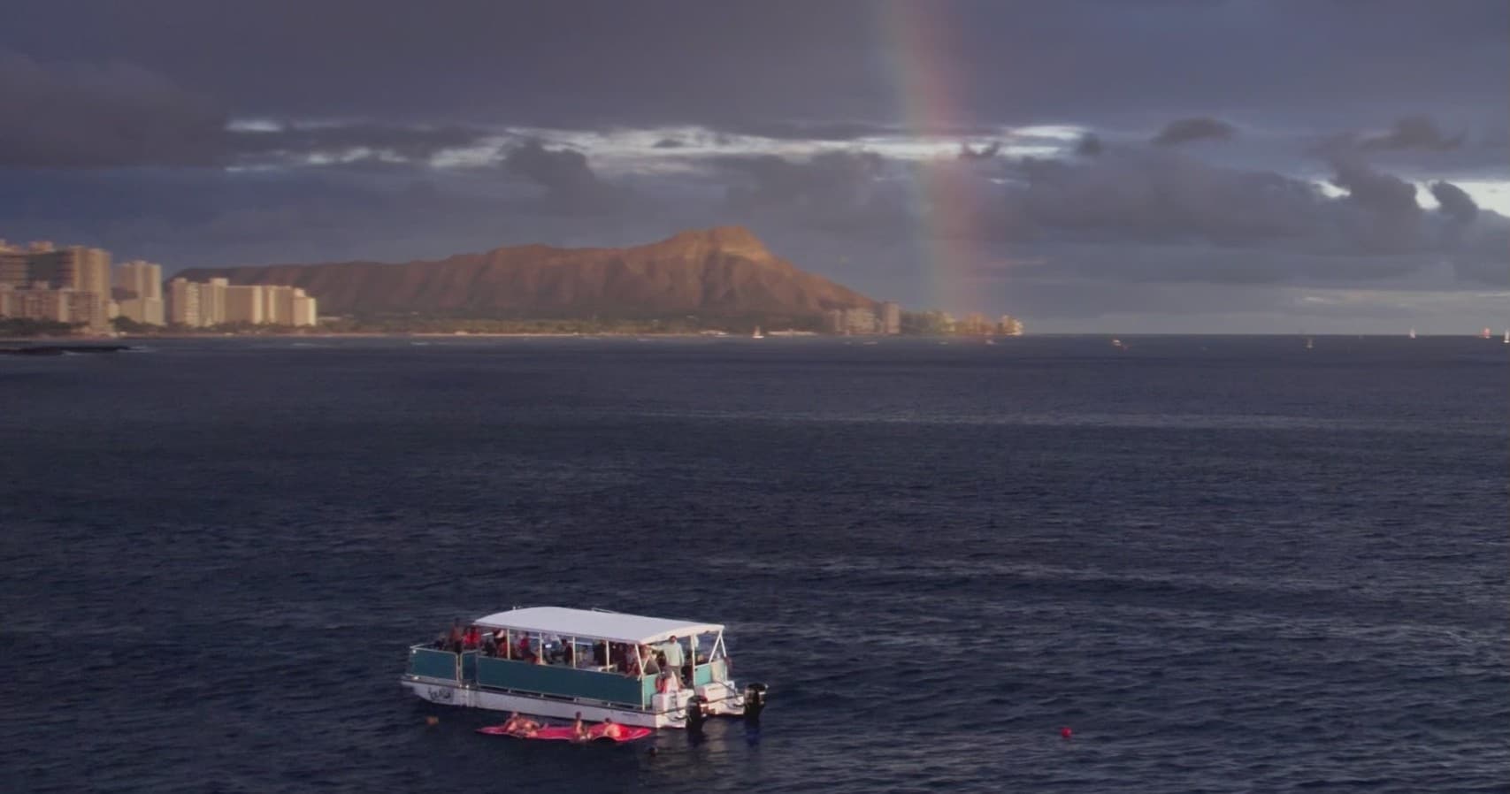 Waikiki Whale Watching Cruise