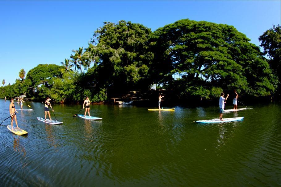 SUP Rental (All Day)