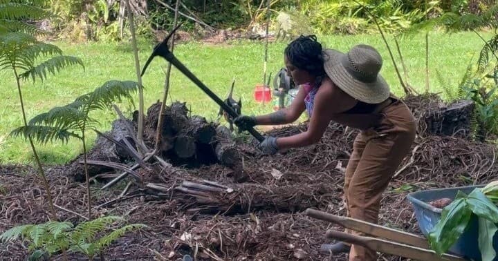 Hawaii Forest Farms Tours