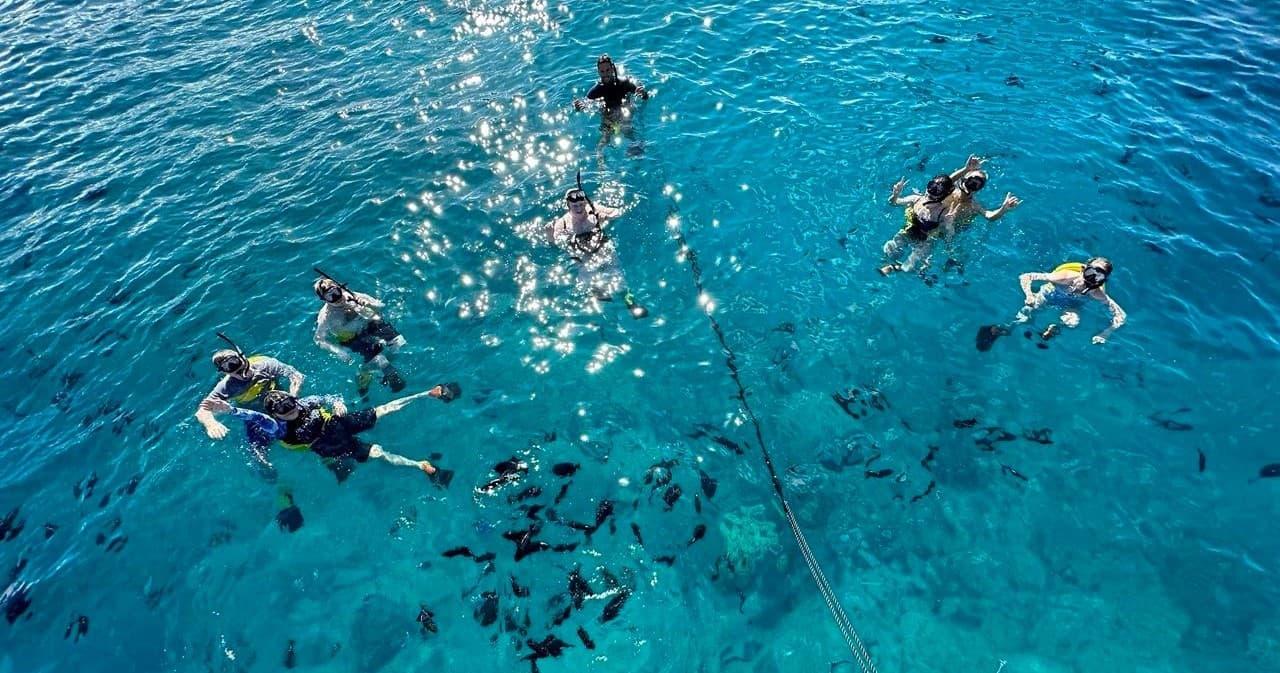 Semi-Private Turtle Snorkel & Catamaran Cruise