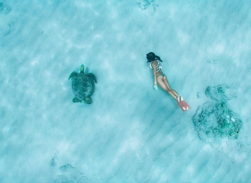 Ko Olina Exclusive Snorkel + Lunch