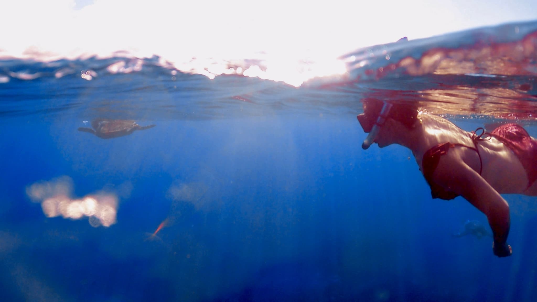 Underwater Photographer