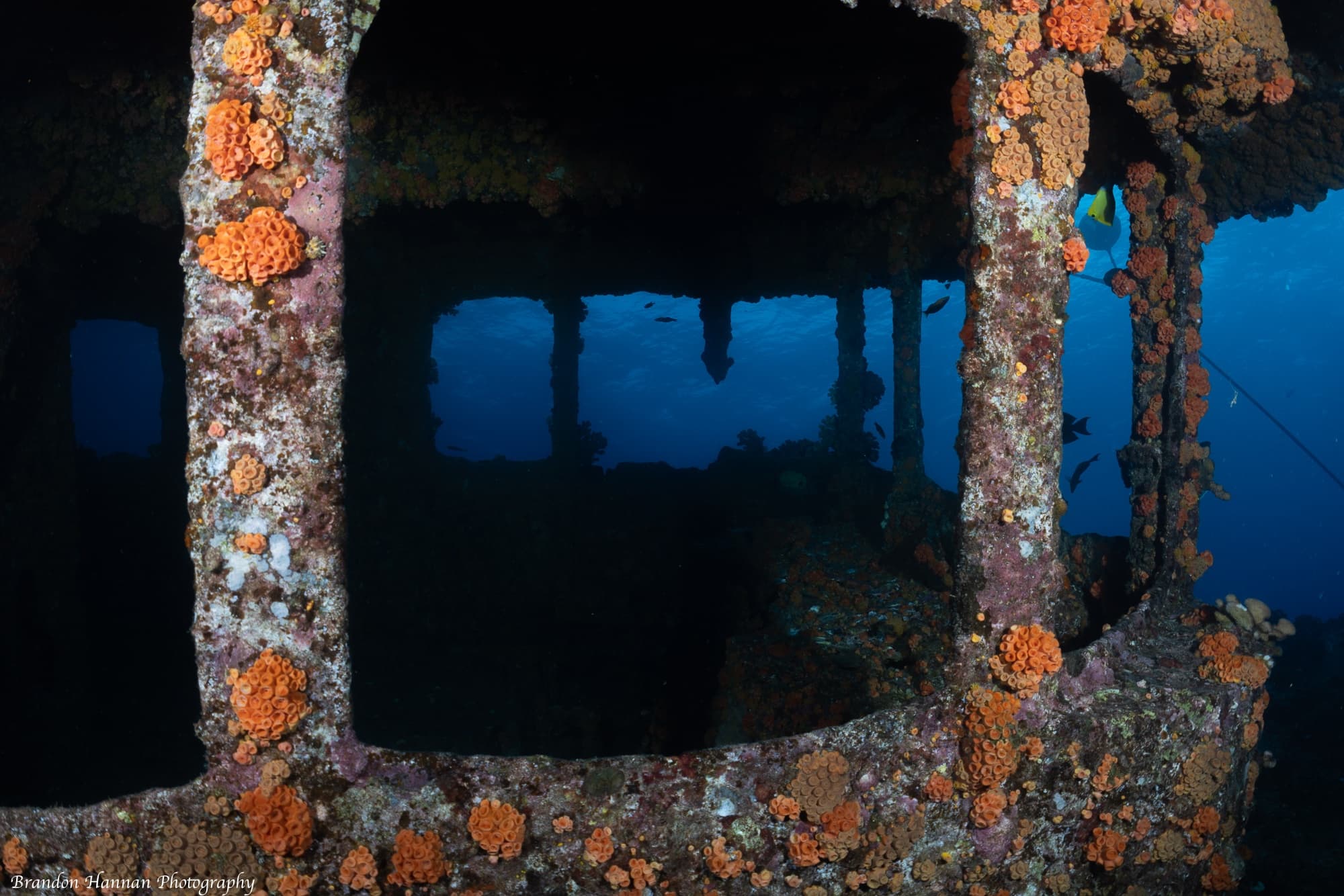 Magnificent 2 Tank Shipwreck and/or Reef Boat Dive - Certified Only