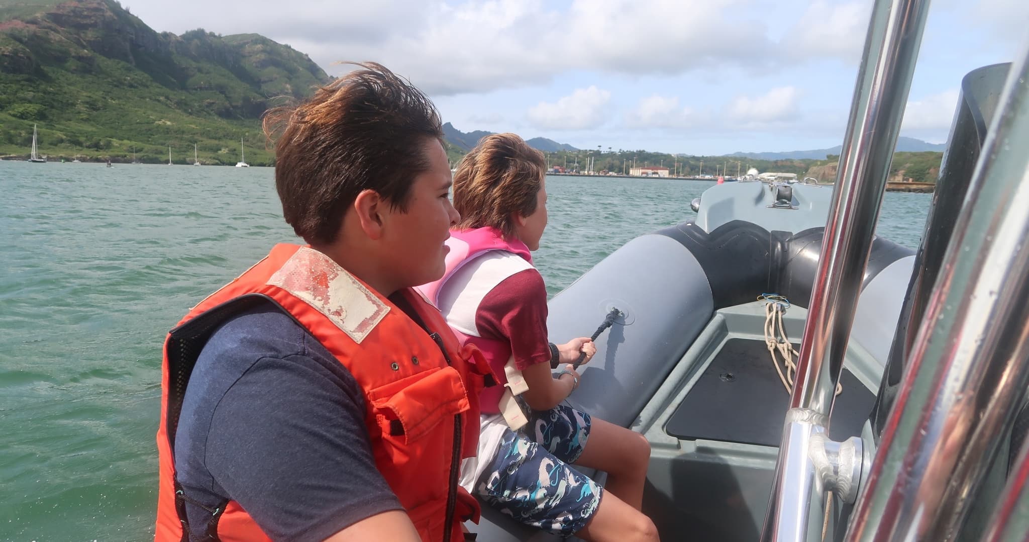 Seabirds and Marine Mammals