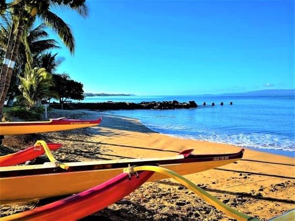 The Maui Island Tour, Private Charter